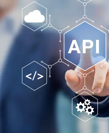 API Programming & Integration